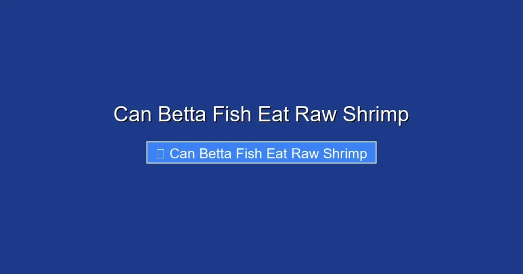 Can Betta Fish Eat Raw Shrimp