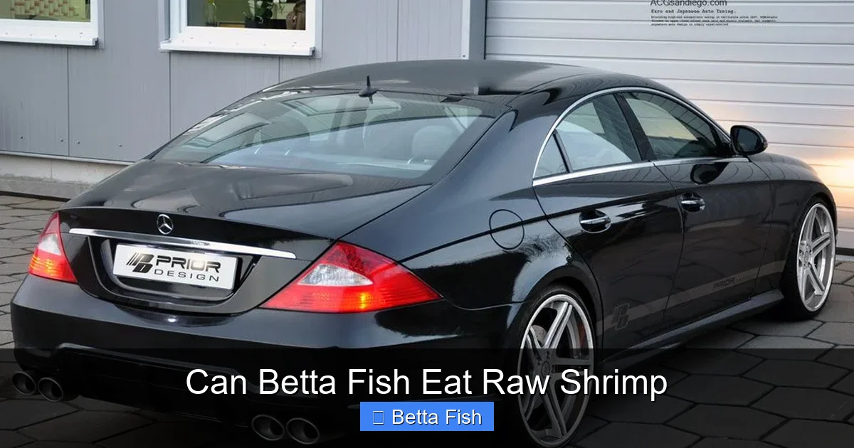 Can Betta Fish Eat Raw Shrimp
