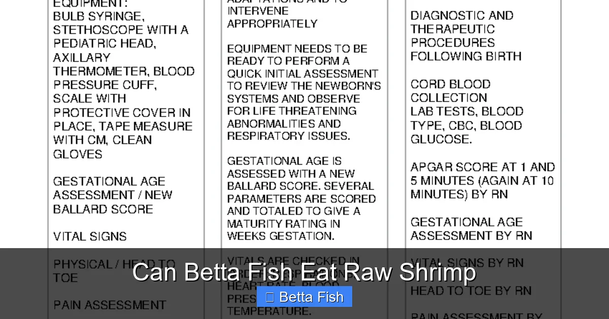 Can Betta Fish Eat Raw Shrimp