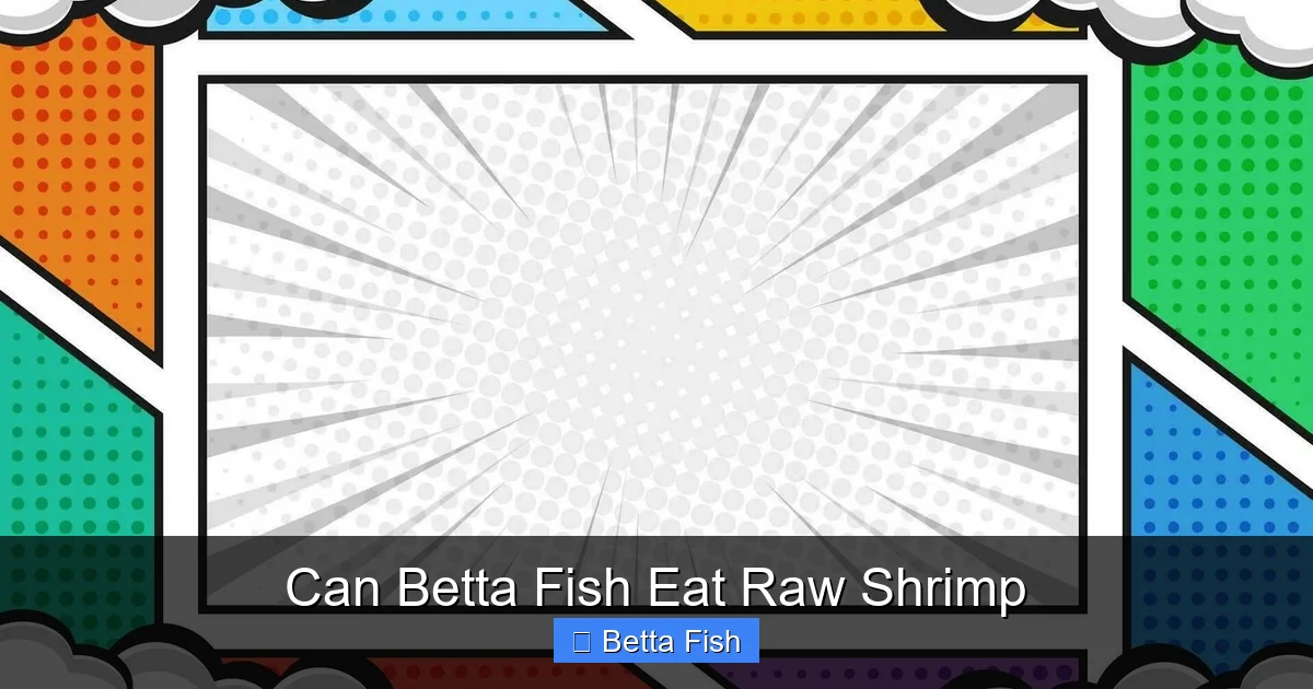Can Betta Fish Eat Raw Shrimp