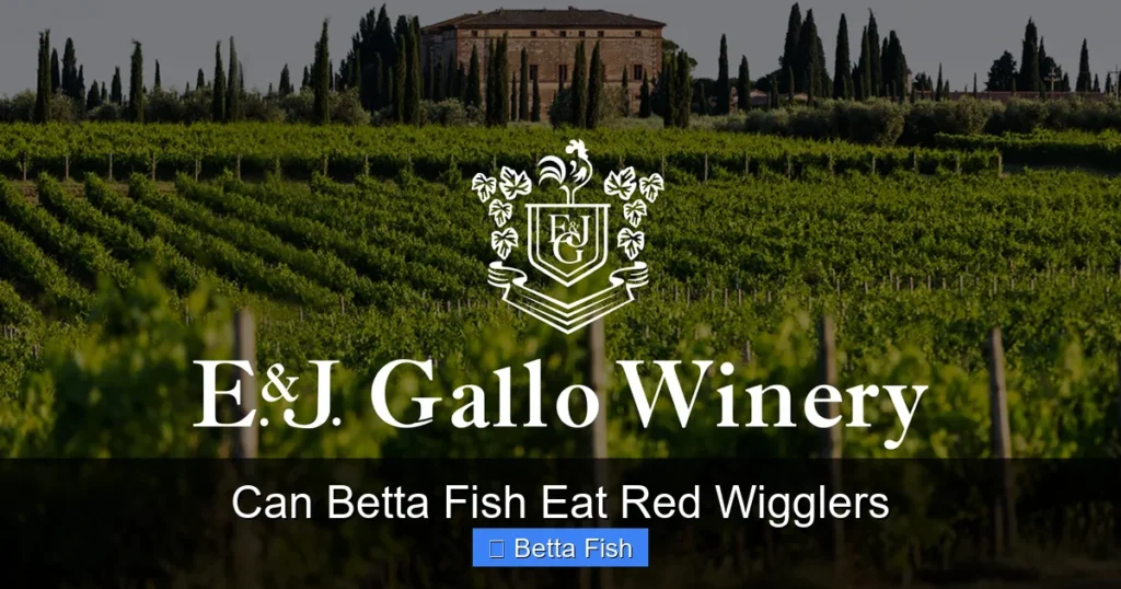 Can Betta Fish Eat Red Wigglers