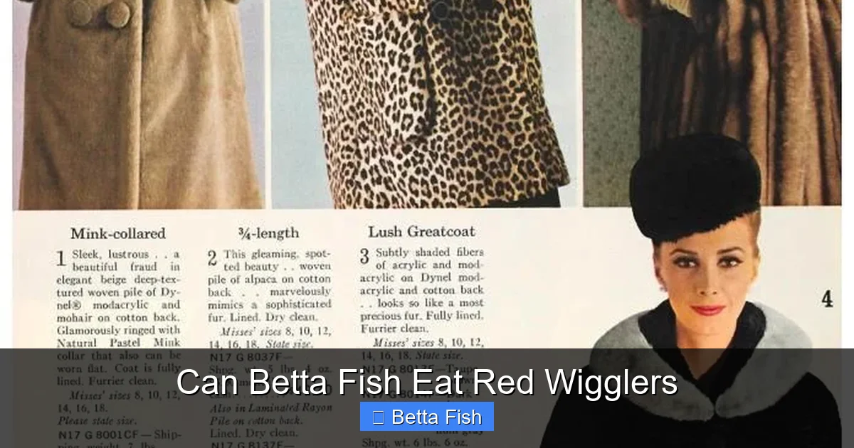 Can Betta Fish Eat Red Wigglers