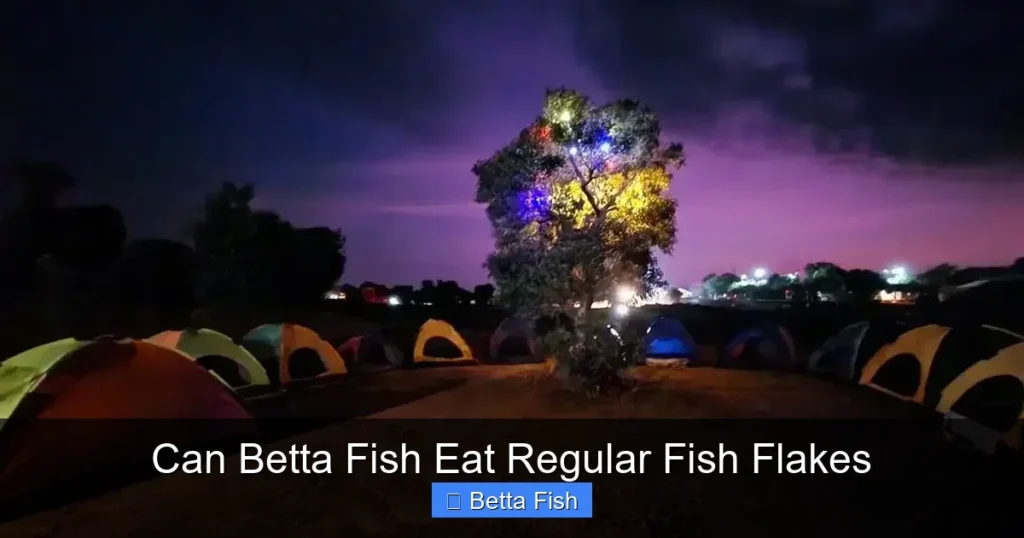 Can Betta Fish Eat Regular Fish Flakes
