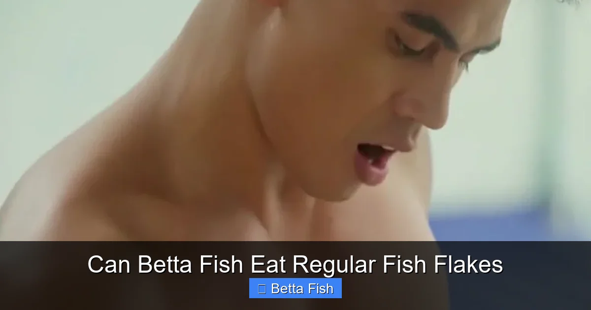 Can Betta Fish Eat Regular Fish Flakes