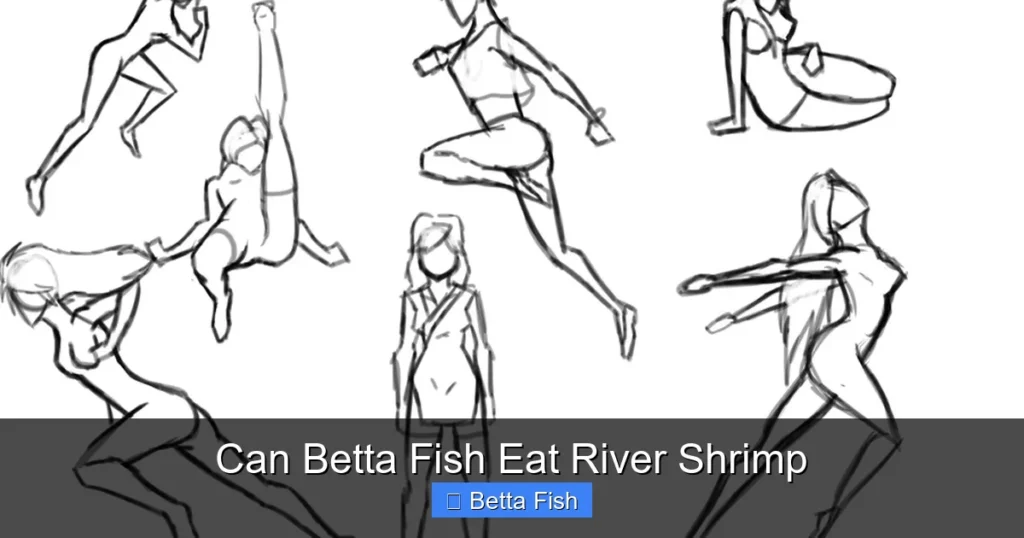 Can Betta Fish Eat River Shrimp