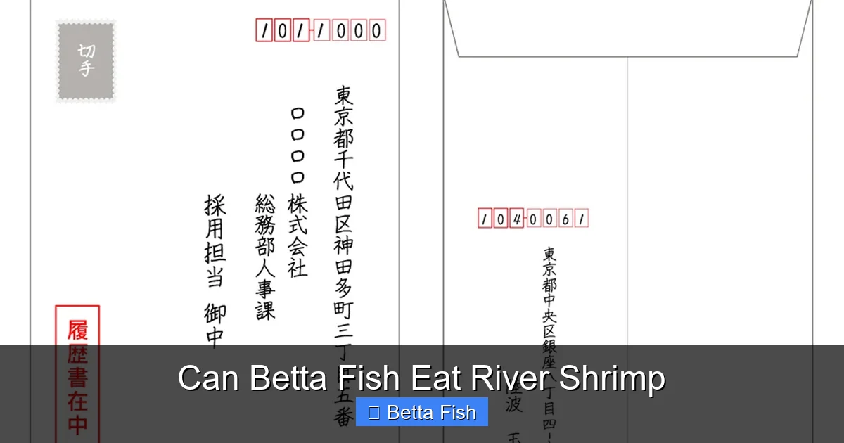 Can Betta Fish Eat River Shrimp