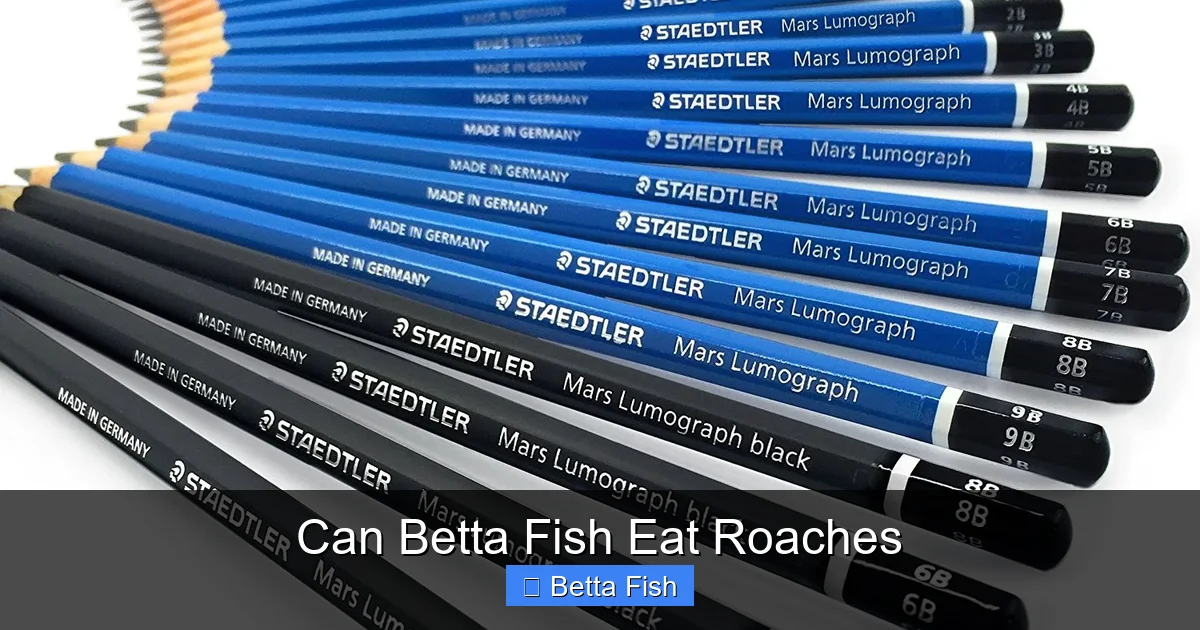 Can Betta Fish Eat Roaches