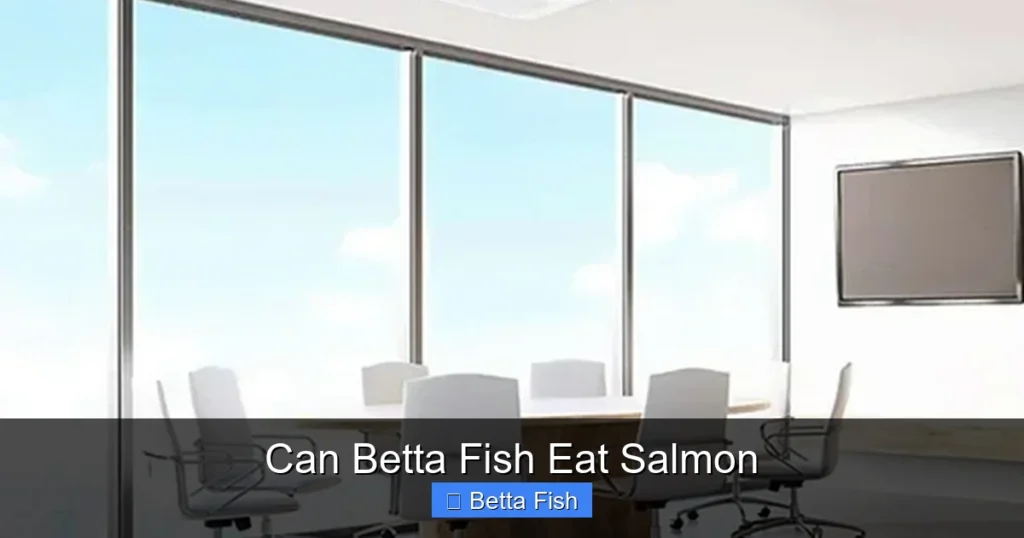 Can Betta Fish Eat Salmon