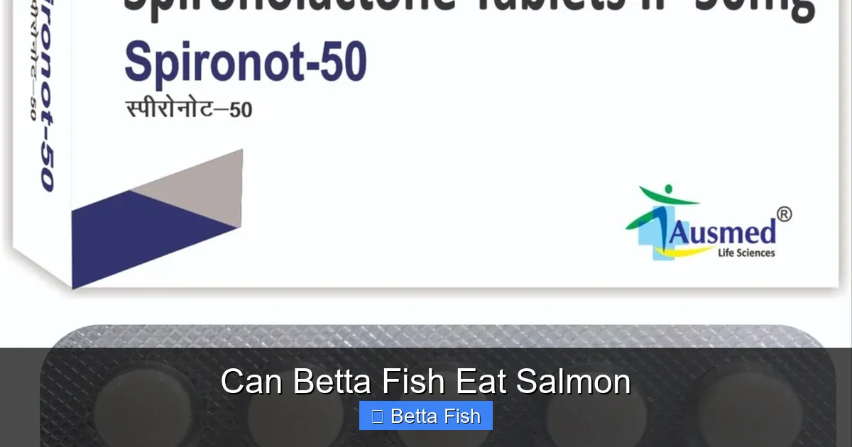 Can Betta Fish Eat Salmon