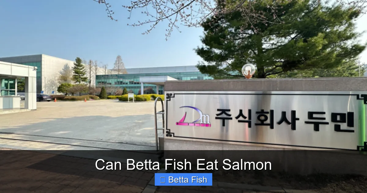 Can Betta Fish Eat Salmon