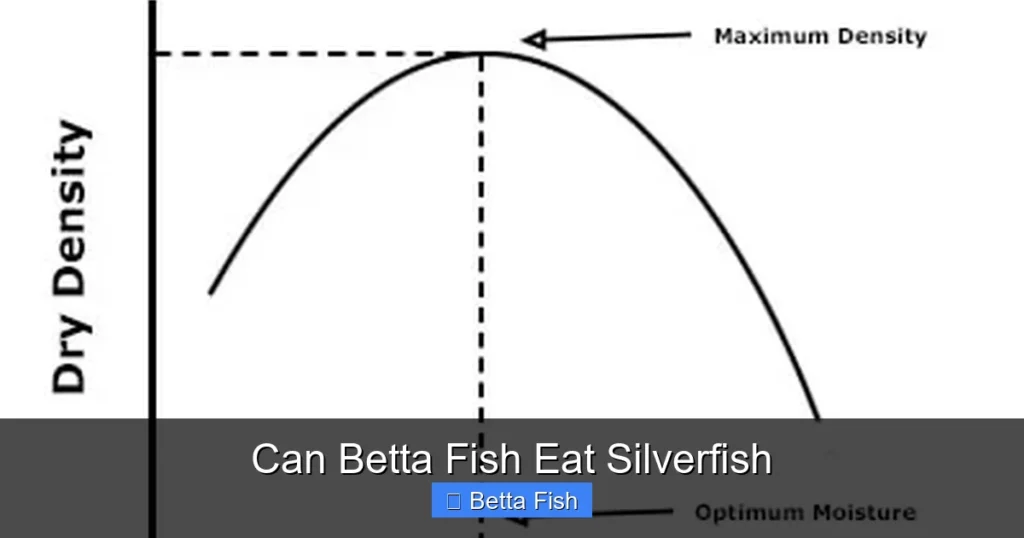 Can Betta Fish Eat Silverfish