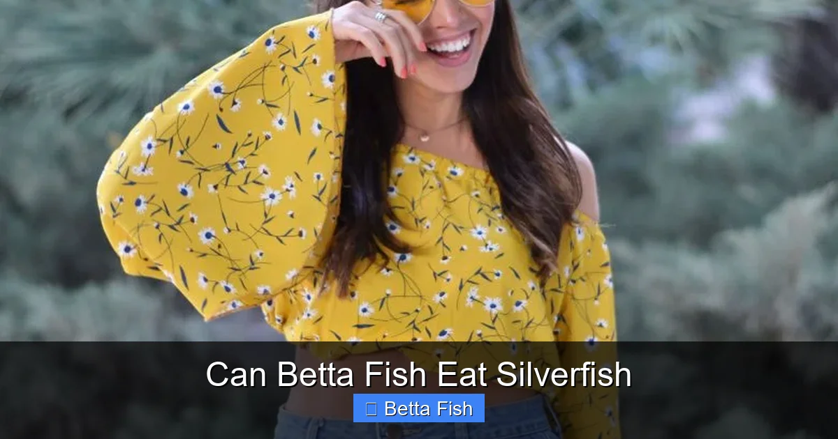 Can Betta Fish Eat Silverfish