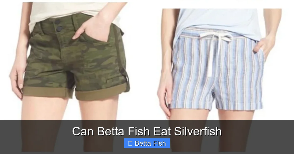 Can Betta Fish Eat Silverfish