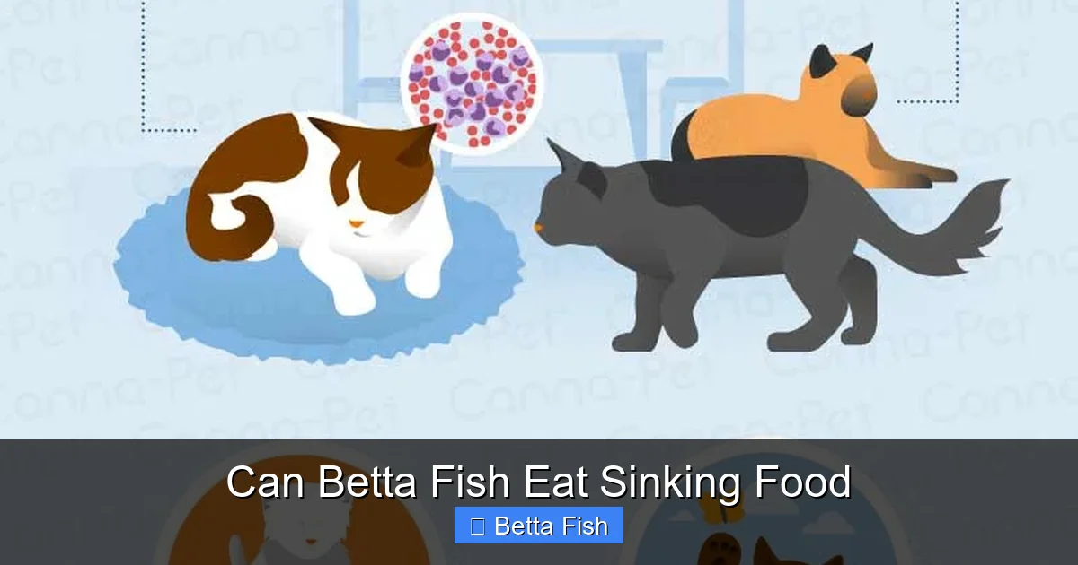 Can Betta Fish Eat Sinking Food