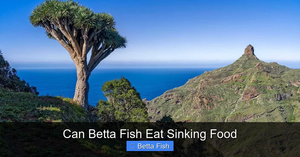 Can Betta Fish Eat Sinking Food
