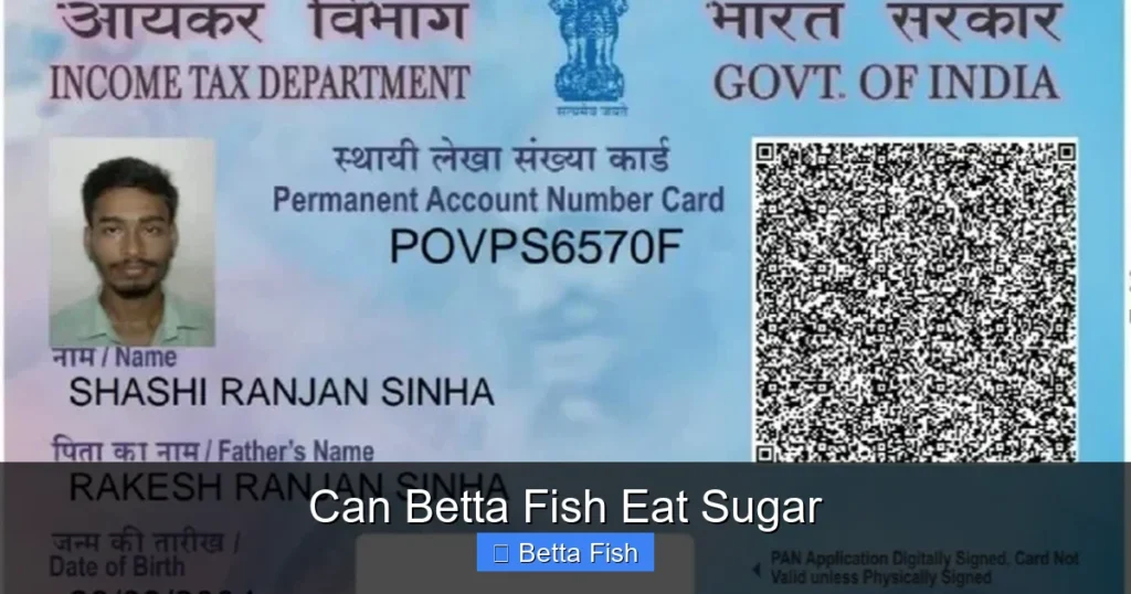 Can Betta Fish Eat Sugar