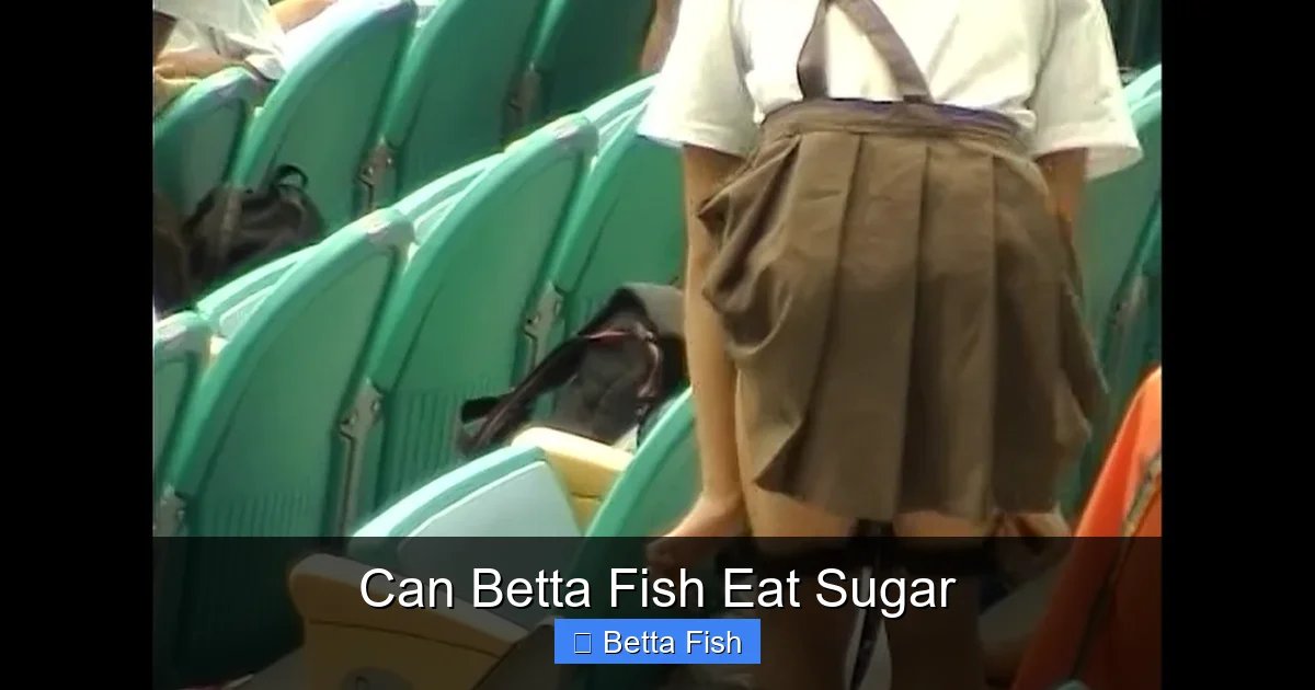 Can Betta Fish Eat Sugar