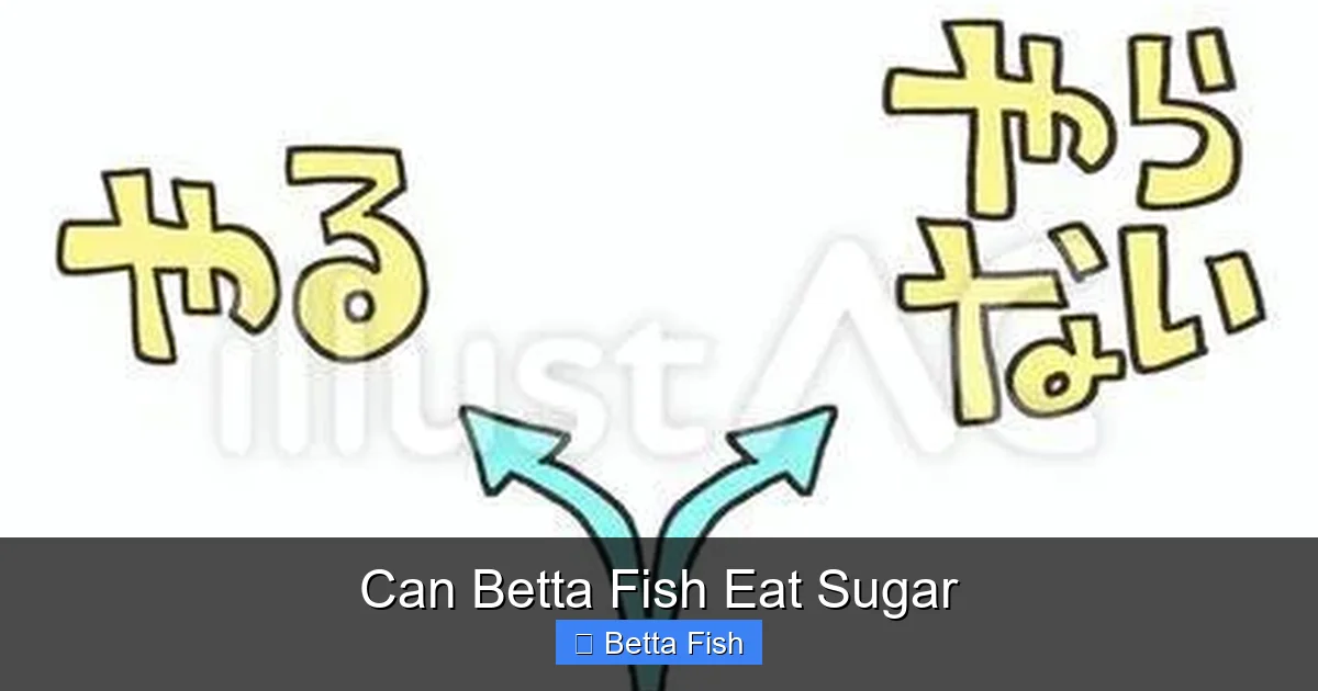 Can Betta Fish Eat Sugar