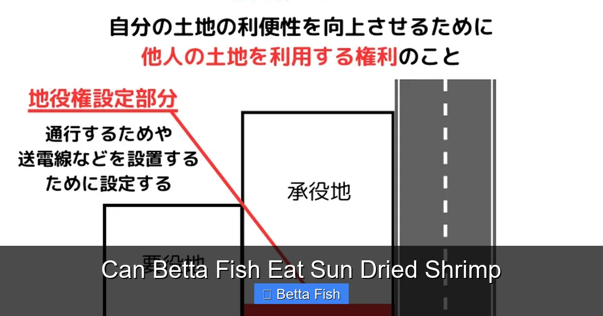 Can Betta Fish Eat Sun Dried Shrimp