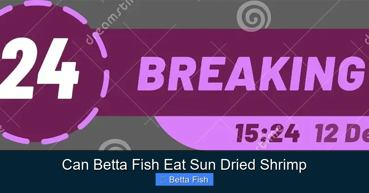 Can Betta Fish Eat Sun Dried Shrimp