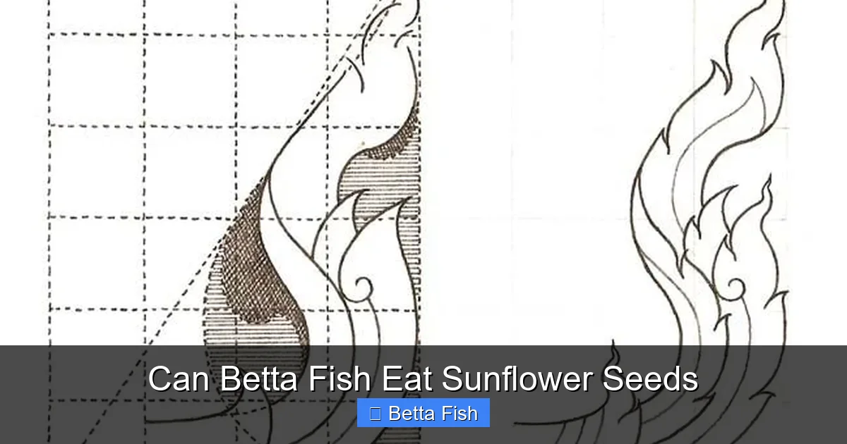 Can Betta Fish Eat Sunflower Seeds