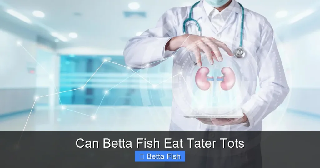 Can Betta Fish Eat Tater Tots