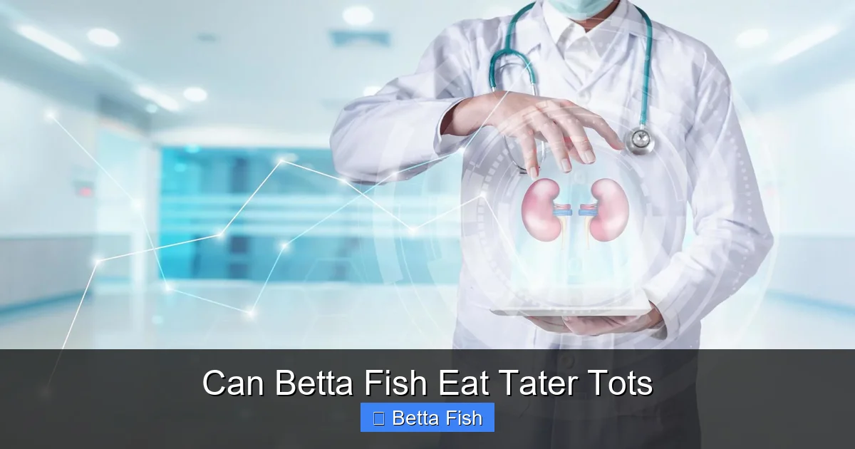 Can Betta Fish Eat Tater Tots