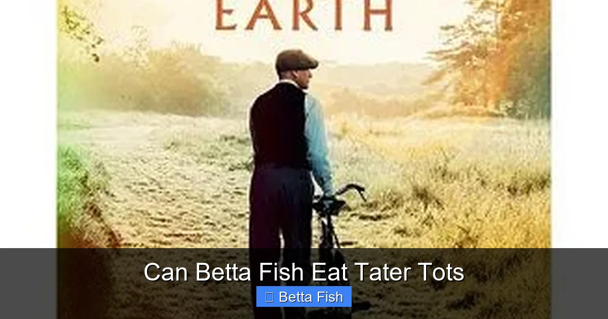 Can Betta Fish Eat Tater Tots