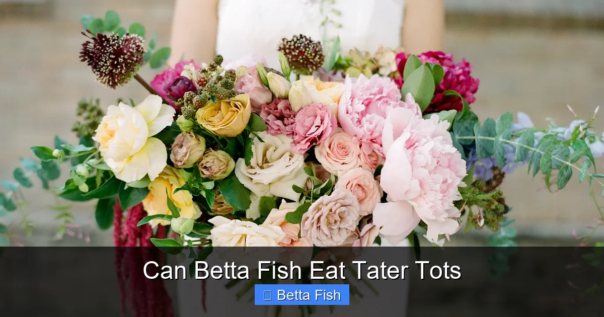 Can Betta Fish Eat Tater Tots
