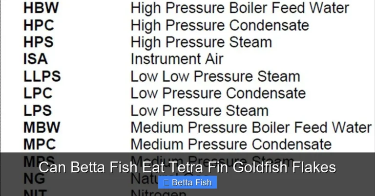 Can Betta Fish Eat Tetra Fin Goldfish Flakes