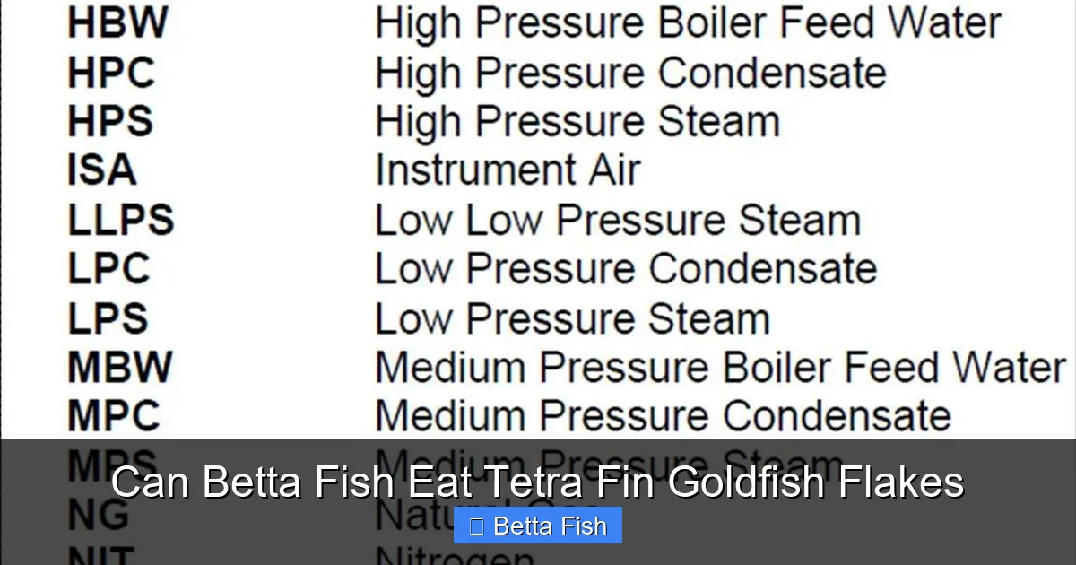 Can Betta Fish Eat Tetra Fin Goldfish Flakes