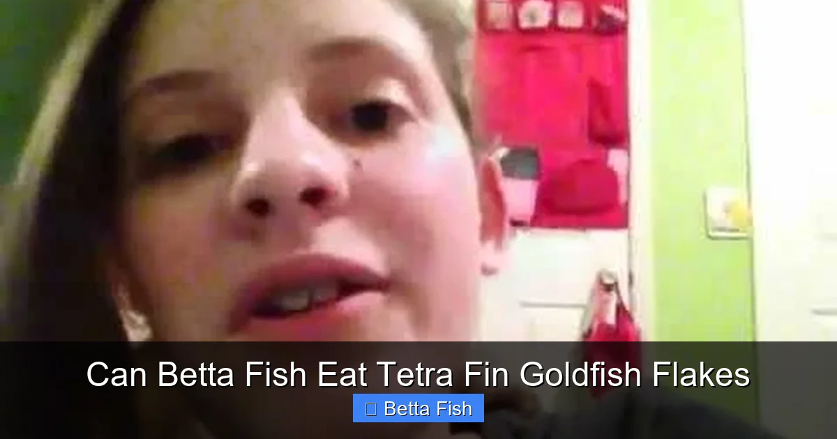 Can Betta Fish Eat Tetra Fin Goldfish Flakes