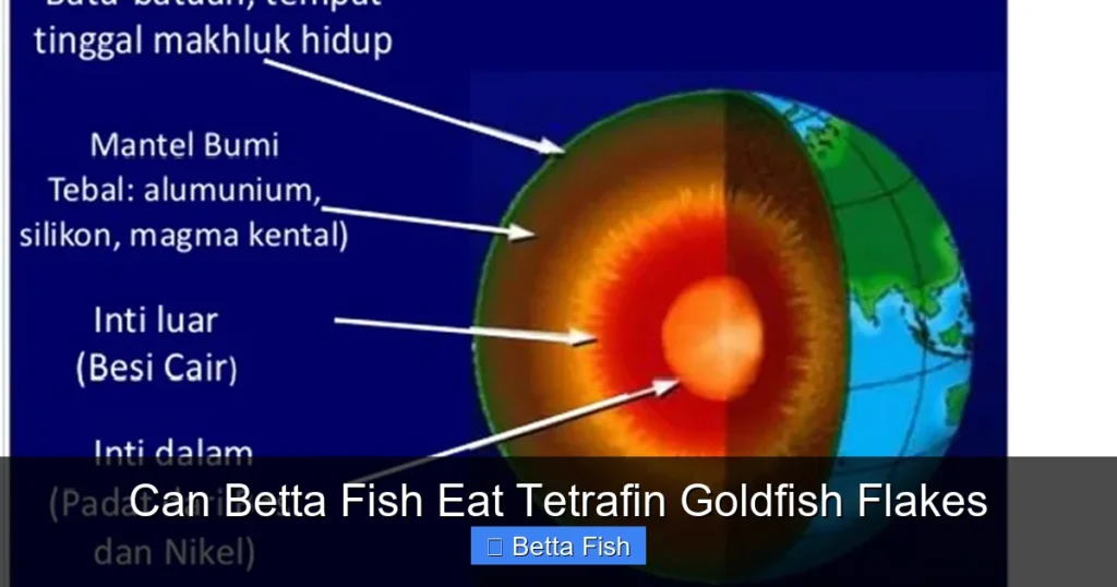 Can Betta Fish Eat Tetrafin Goldfish Flakes