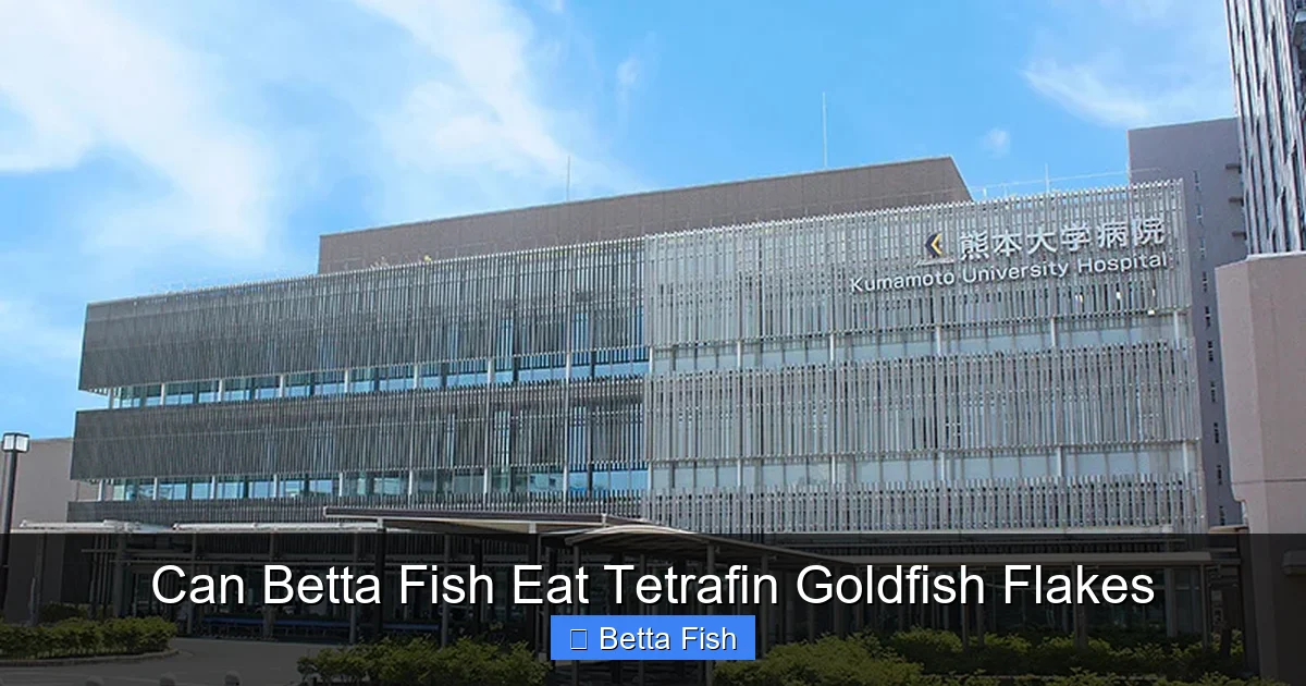 Can Betta Fish Eat Tetrafin Goldfish Flakes