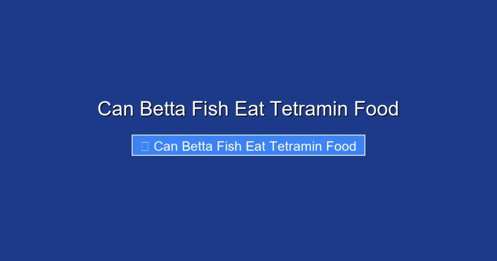 Can Betta Fish Eat Tetramin Food