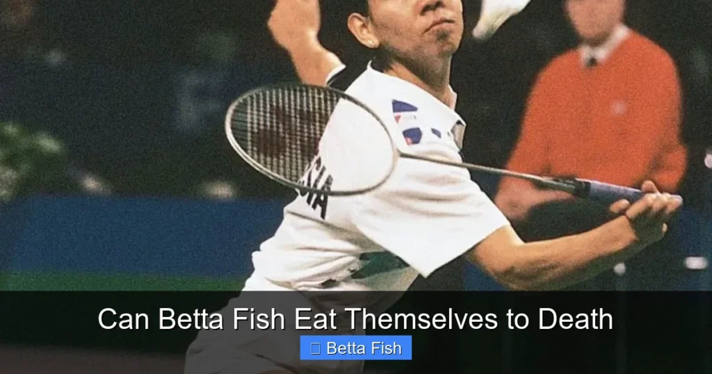 Can Betta Fish Eat Themselves to Death