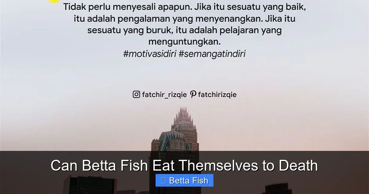 Can Betta Fish Eat Themselves to Death