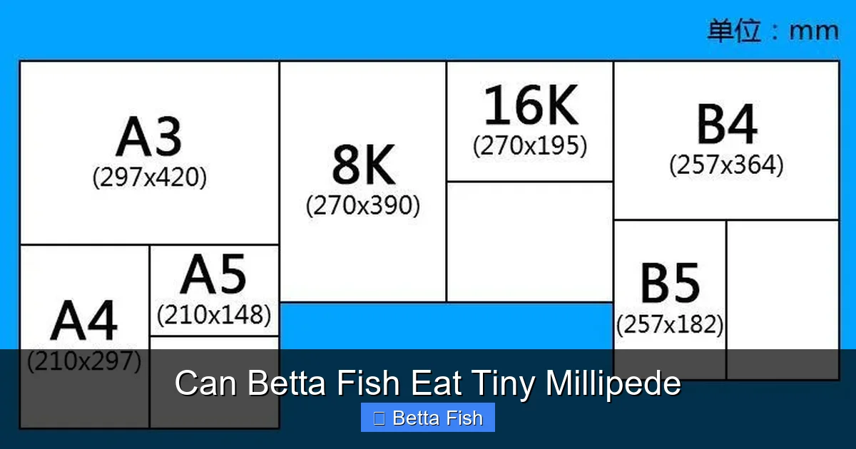 Can Betta Fish Eat Tiny Millipede