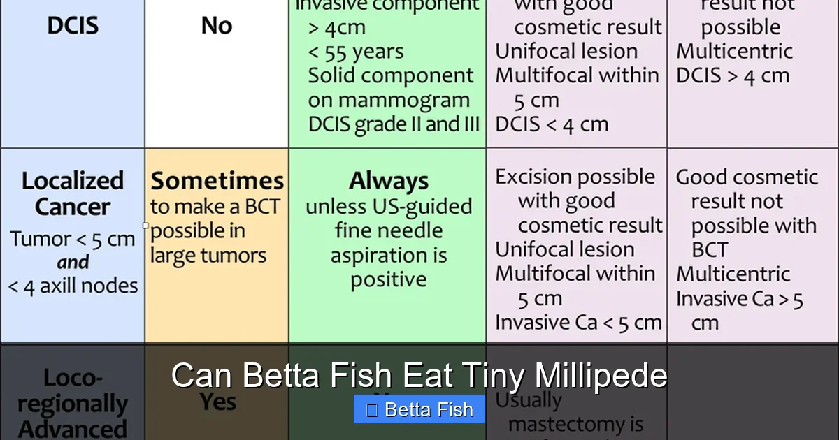 Can Betta Fish Eat Tiny Millipede