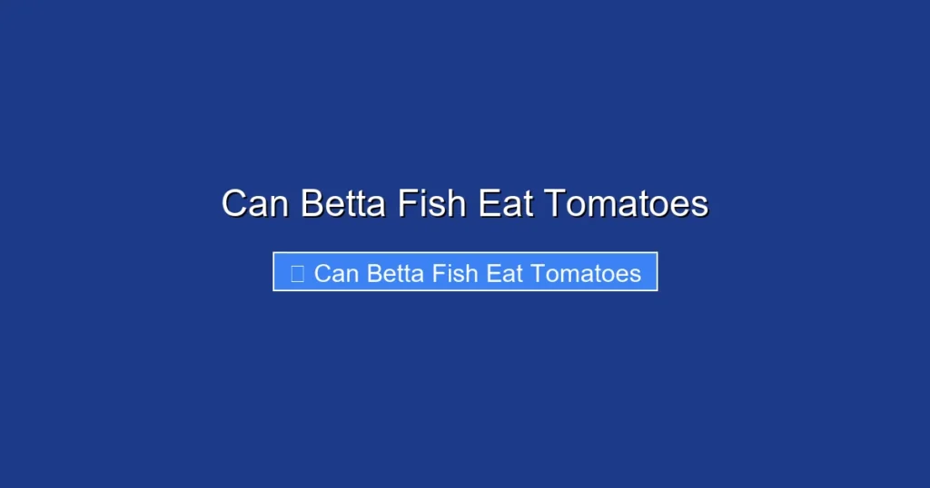 Can Betta Fish Eat Tomatoes