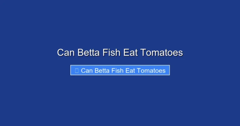 Can Betta Fish Eat Tomatoes