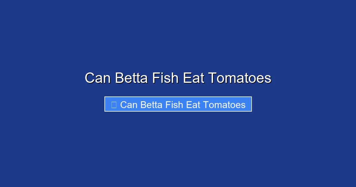 Can Betta Fish Eat Tomatoes
