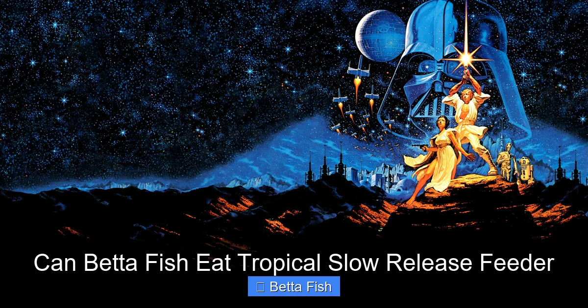 Can Betta Fish Eat Tropical Slow Release Feeder