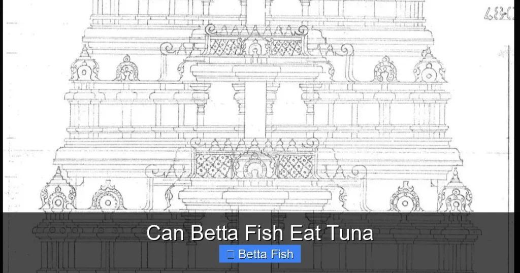 Can Betta Fish Eat Tuna