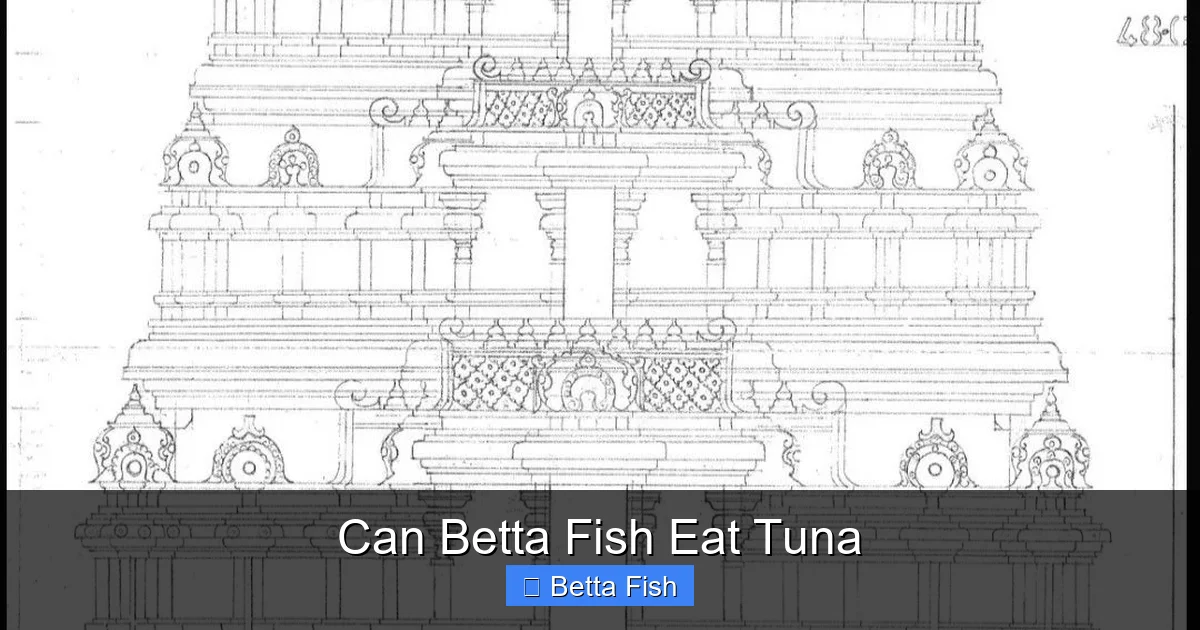 Can Betta Fish Eat Tuna