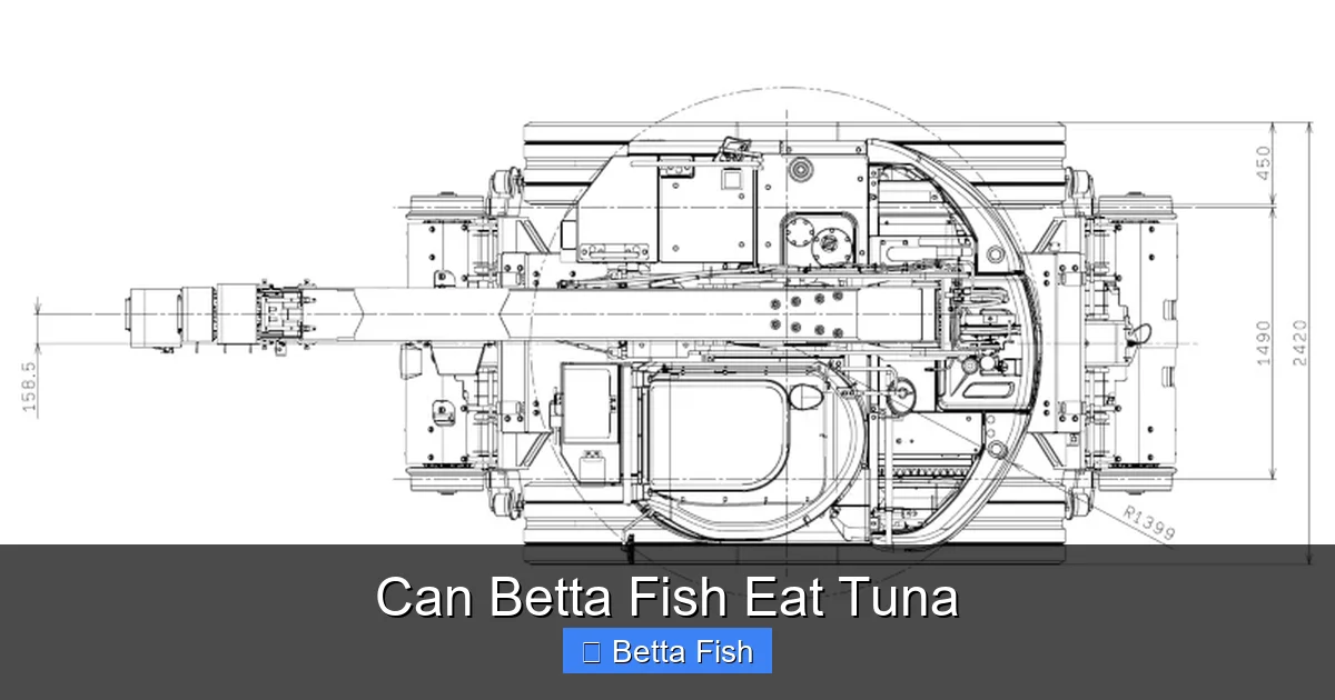Can Betta Fish Eat Tuna