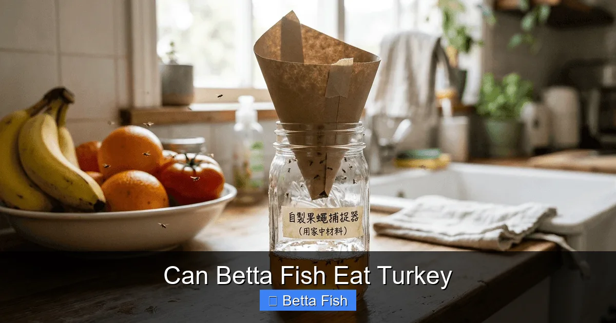 Can Betta Fish Eat Turkey