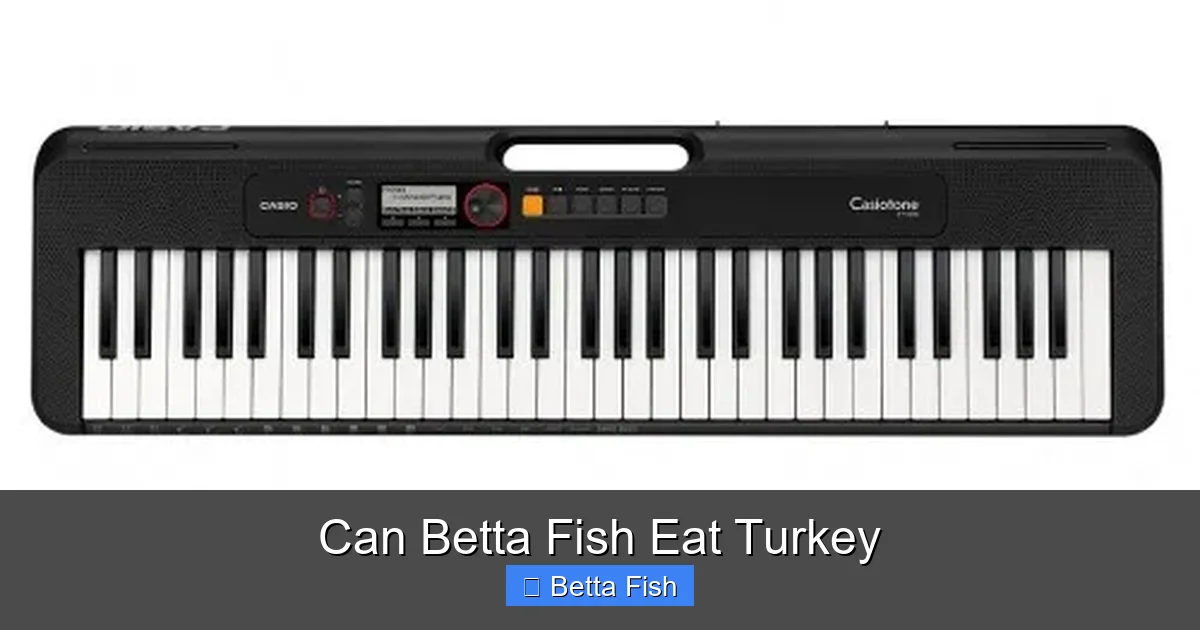 Can Betta Fish Eat Turkey