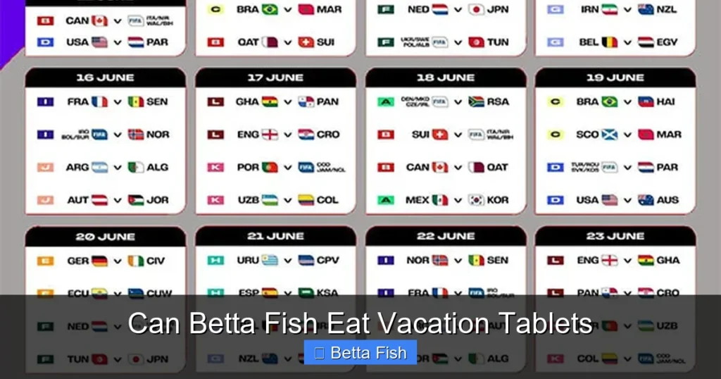 Can Betta Fish Eat Vacation Tablets