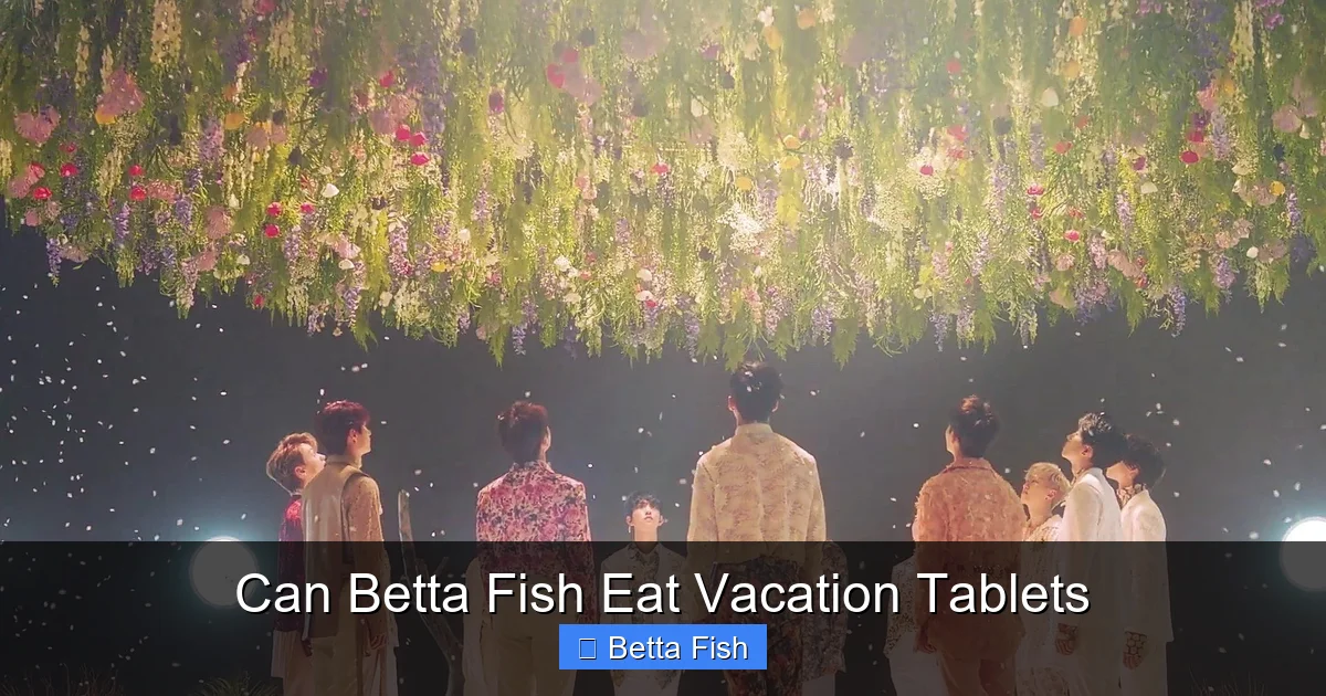 Can Betta Fish Eat Vacation Tablets
